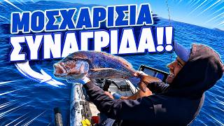 Φαγκριά,Τσαουσακια  & Η Μεσημεριανή Συναγρίδα ΘΗΡΙΟ που εκλεισε το Ψάρεμα μας !!