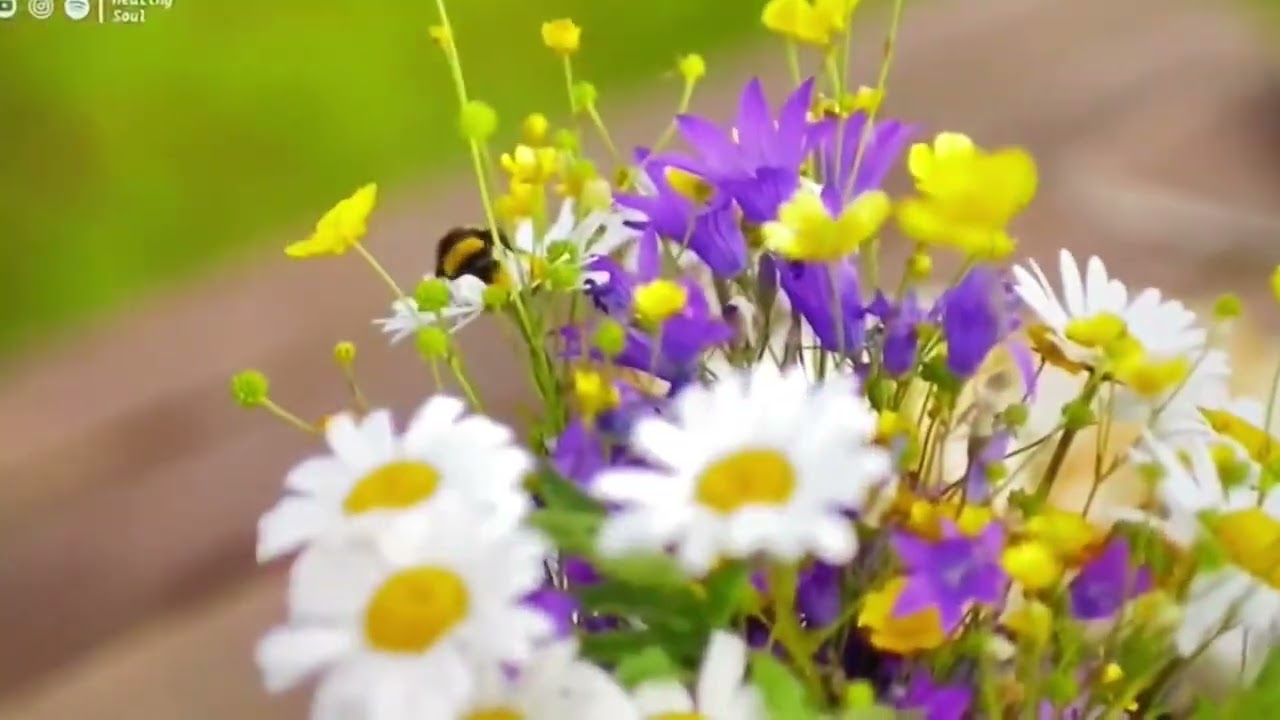 Giesmė “Vien lapija, tik lapija”