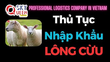 Procedures for importing sheep wool | logistics company in Vietnam | forwarder agent in Vietnam