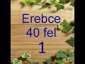 Erebce 50 fel  1-ci hisse