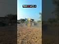 किसान के खेतों में ट्रैक्टर लोडर 🕊️👳🏾‍♀️ #farming #shortvideo #tractor #short #video