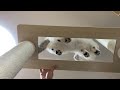 フライングしすぎる猫