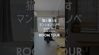 🐾 猫と快適に暮らすマンションリノベ|築30年・70㎡を理想の住まいに【未来アート】