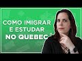 COMO IMIGRAR E ESTUDAR EM QUEBEC - Tira dúvidas ao vivo