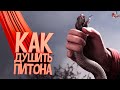 Как душить питона ( RUST / PUBG / GTA RP / Wolfenstein YB )