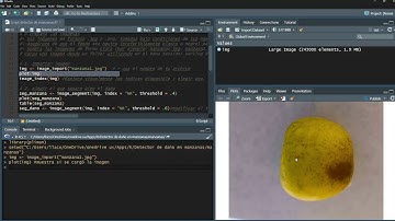 Calcular Daño  de una manzana de una imagen en R
