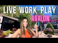  live work play in avalon alpharetta ga   living in alpharetta ga  alpharetta ga homes for sale