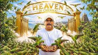 10000 Parrots - Heaven in Chennai, Parrot Sudarshan home visit