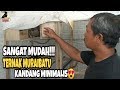 SANGAT MUDAH!!! Ternak Muraibatu dengan kandang Minimalis || ABABIL BIRD FARM Purwokerto