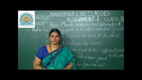 AP & TS CLASS IV SCIENCE ASSIGNMENT VIDEO DAY 3