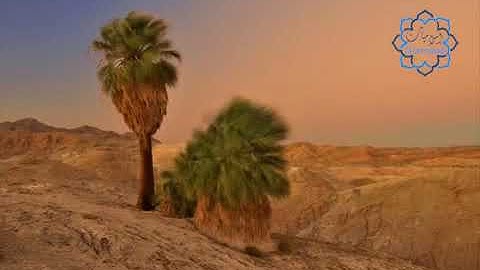 سورة غافر بصوت عذب جداً
