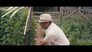 2016 United Way National Campaign Video (English)