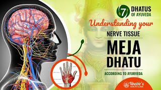 Understanding the condition of your nerves, Meja Dhatu,  according to Ayurveda