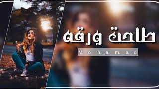 سيف عامر - ورقة (حصرياً) | 2019 | (Saif Amer - Warqa (Exclusive