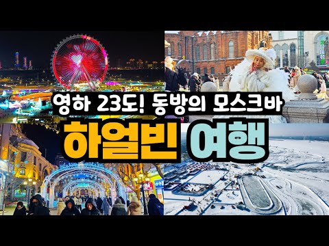 겨울왕국 실사판 하얼빈 모허 여행 5박 6일! 꼭 가봐야 하는 세계 3대 축제 빙설대세계 리얼 후기 #중앙대가 #성소피아성당 #송화강 #하얼빈