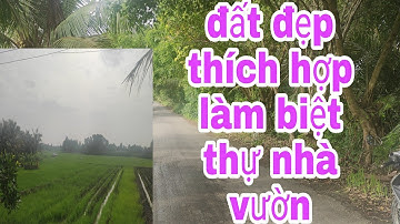 Bán đất thổ và lúa toạ lạc tại ấp 6 xã An Thạnh- Bến Lức- Long An