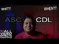 Asc cdl  effect7  all effects explained  premiere pro