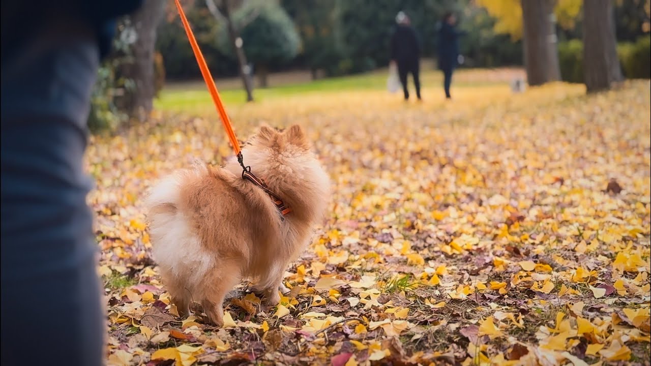 Beautifully colored air