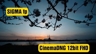 SIGMA fp CinemaDNG 12bit FHD