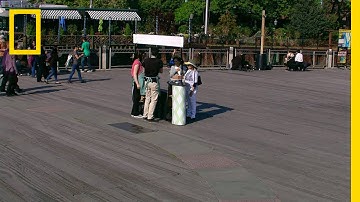 Cakes of Deception | Brain Games