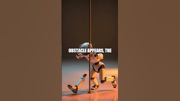 Algorithms in the Dark Robotic Senses Tested