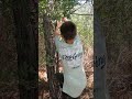 Asking the 8ball should i climb a tree#viral #fyp
