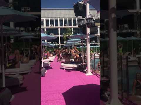IBIZA ROCKS vip