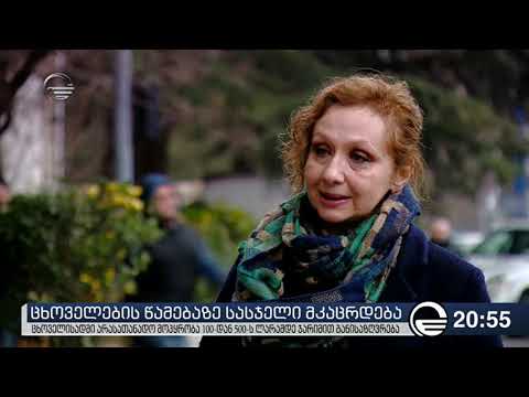 ცხოველების წამებაზე კანონი მკაცრდება