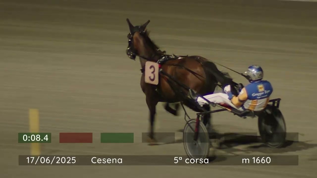 2025 06 17 | Corsa 5 | Metri 1660 | Premio Ouverture