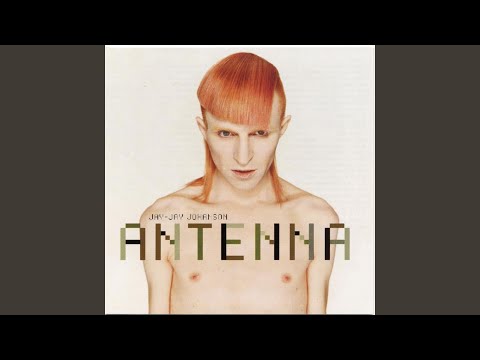 Jay-Jay Johanson — Cookie