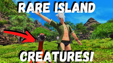 Island Sanctuary RARE CREATURES!