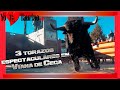 Viana de Cega, los 3 🐂🐂🐂 primeros Toros 2022 de Valladolid en 4K