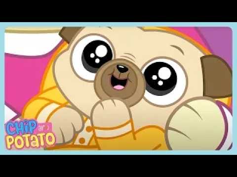 🔴 LIVE | Chip's Baby Sister | Chip and Potato | Cartoons for Kids | WildBrain Zoo