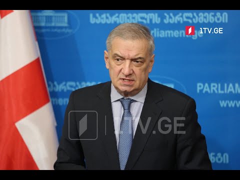 ნიკა მელიას საქმე - მმართველი გუნდის განცხადებები