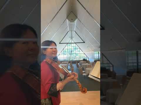 超絶技巧難易度MAX】【オペラ】パガニーニ協奏曲第1番第1楽章 Paganini