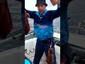 Sydney waters going OFF 🌊🦑