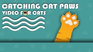 Games For Cats - Catching Cat Paws! Video For Cats To Watch | Cat Tv.