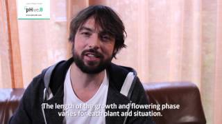 A quick how to use guide to Plagron Terra Nutrients