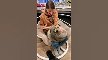 Енот Тема прокусил ноготь