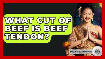 What Cut Of Beef Is Beef Tendon? - Exploring Southeast Asia