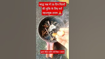 श्राद्ध पक्ष में 16 दिन पितरों की मुक्ति के लिए करें यह अचूक उपाय pandit Pradeep ji Mishra #upay 🙏👍