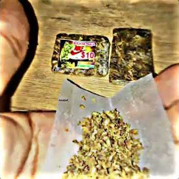 WEED WHATSAPP STATUS VIDEO 🥵