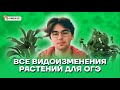 Все видоизменения растений для ОГЭ | Биология ОГЭ 2022 | Умскул