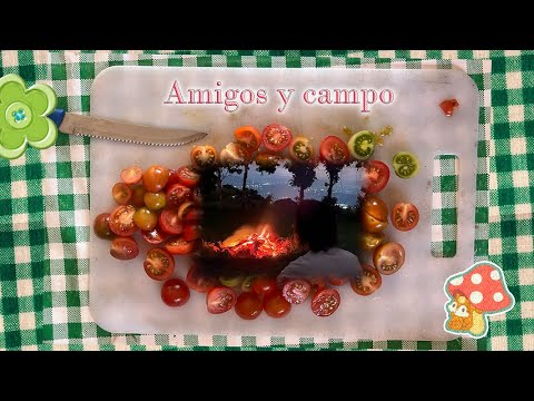 OVA: amigos y campo, un verano de paseo 🏕