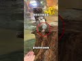 No creerás cómo esta nutria pide comida