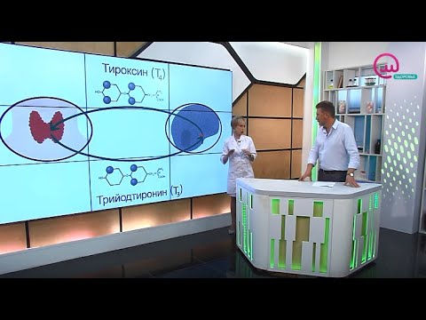 Телеканал открытый мир. Телеканал открытый мир здоровье. Доктор знает !на канале открытый мир. Тема: молочница. Телеканал открытый мир фитнесфнйс. Передача доктор знает на канале открытый мир онкология 08 042022.