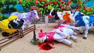 PROSES POTONG SAPI QURBAN !! SIMULASI POTONG SAPI COW MILK COW CARTOON #602