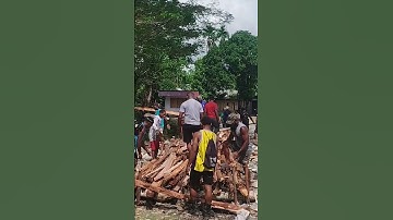 5 meter panjang tempat bakar batu #papuaindah #timikapapua #orangpapua #views #viral #viralvideo