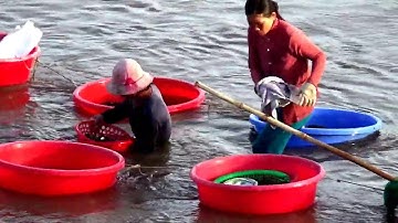 12 Theo đường Hòa Thắng - Hòa Phú hay gọi là DT716B về Phan Rí Cửa, Bình Thuận 06/06/2019