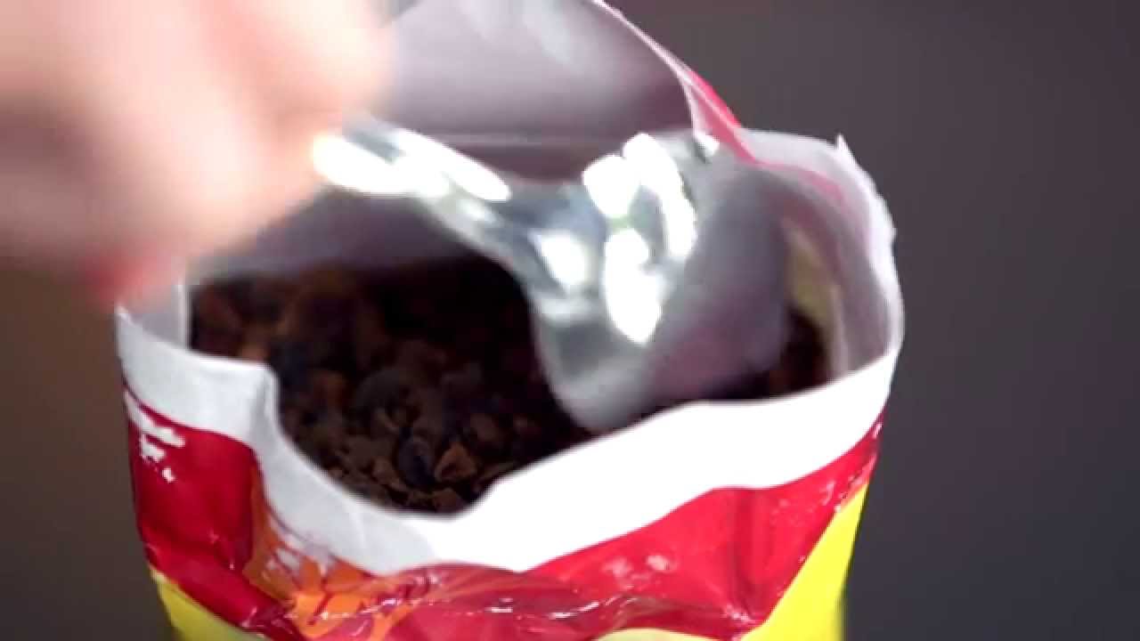 Chicorée en grains Tutoriel d'utilisation Chicorée